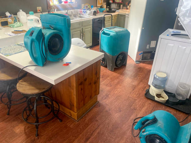 Best Sewage cleanup and water damage restoration  in Pismo Beach, CA