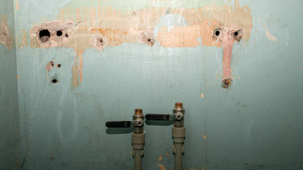 Best Ceiling water damage repair  in Pismo Beach, CA