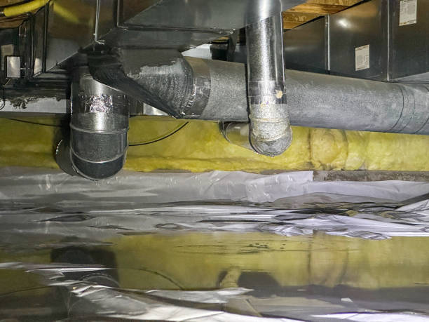 Best Water damage cleanup near me  in Pismo Beach, CA