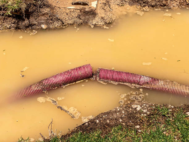 Best Professional water damage repair  in Pismo Beach, CA